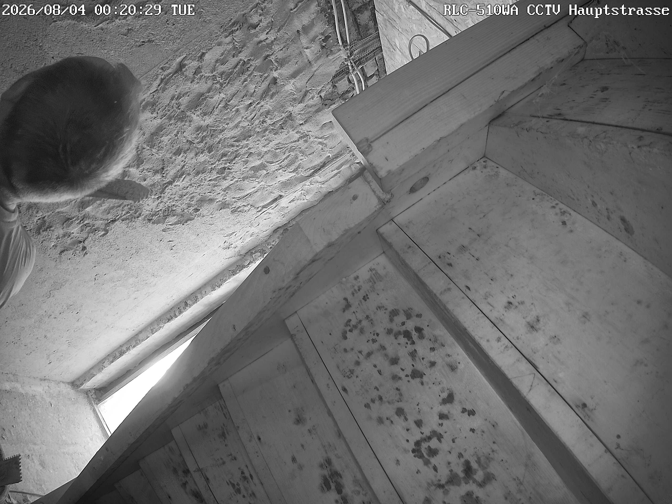 RLC-510WA CCTV Hauptstrasse_00_20260804002029.jpg